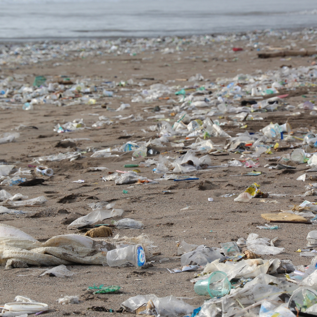 Protecting our oceans from plastic pollution